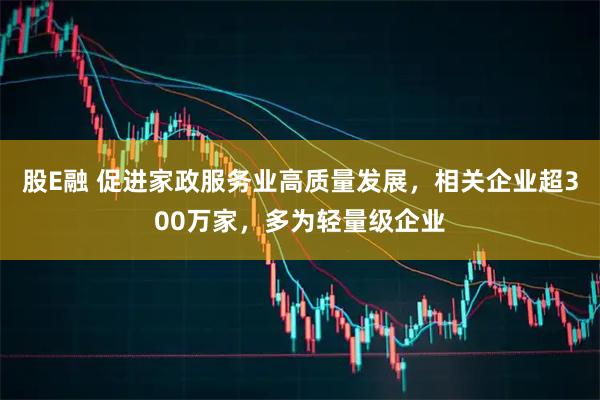 股E融 促进家政服务业高质量发展，相关企业超300万家，多为轻量级企业