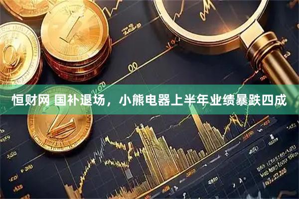 恒财网 国补退场，小熊电器上半年业绩暴跌四成